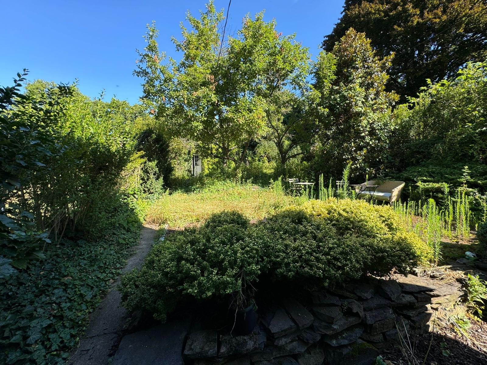 Yard cleanup work by Green Force Property Services